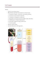 Ch 9 Notes Docx Ch 9 Notes Blood Type Of Connective Tissue Blood