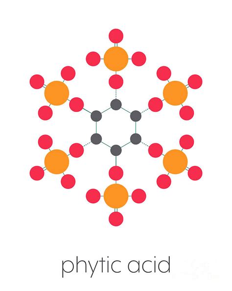 Phytic Acid Chemical Structure 3 By Molekuul Science Photo Library