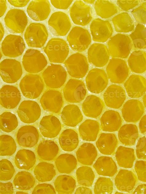 Close Up Of Honey Combs 34059753 Stock Photo At Vecteezy
