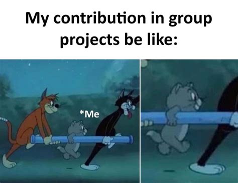 My Contribution In Group Projects Be Like Me Memescout