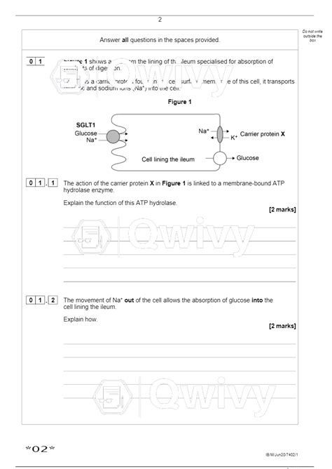 Aqa A Level Biology Paper 1 2020 Qp