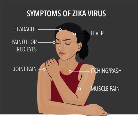 What is Zika Virus? — A Nurses’ Fact Sheet - NurseBuff