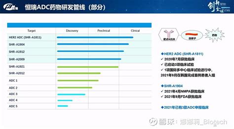 恒瑞的adc布局：第一三共的快速模仿者 恒瑞 的adc用的都是自己开发的抗体和小分子毒素，另外对连接子做了化学优化。之前有个t Dm1的me