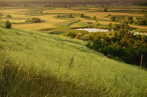 Steppe Grass Landscape Free Photo On Pixabay