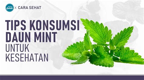 Manfaat Dan Tips Konsumsi Daun Mint Untuk Kesehatan Hidup Sehat TvOne