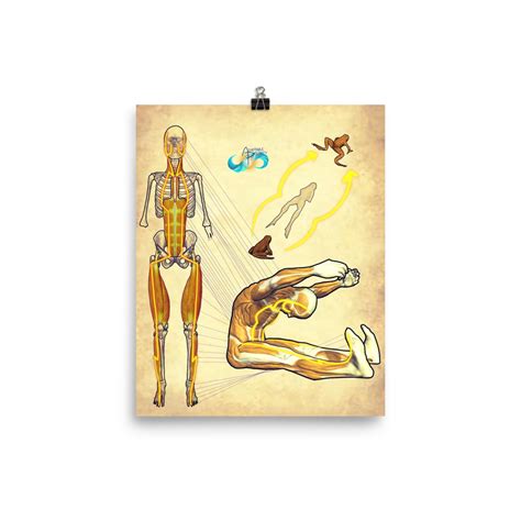 Stomach Mmm Poster Adaptable Polarity