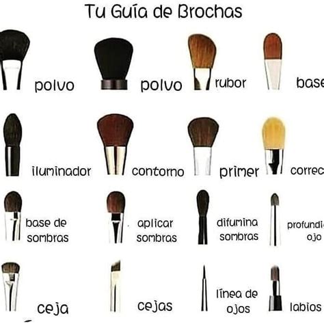 Guia De Brochas De Maquillaje Brochas De Maquillaje Profesional