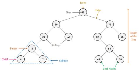 Self Balancing Binary Search Trees Javatpoint