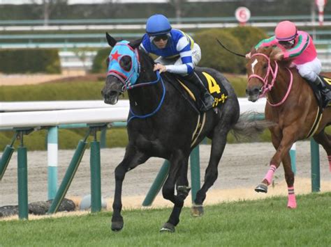 【函館ss見どころ】前走の経験値が生きるビッグシーザーの重賞初制覇に期待 競馬ニュース Netkeiba