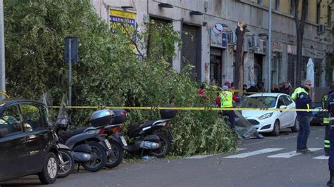 Donna Morta Schiacciata Da Albero Nel Quartiere Monteverde Di Roma