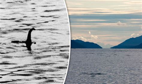 Nessie The Loch Ness Monster Sightings Hit Record High This Century