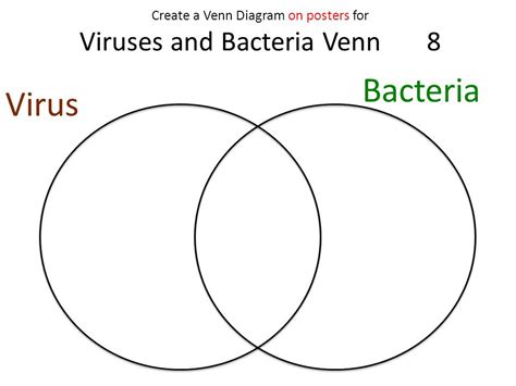 Bacteria Vs Virus Venn Diagram - Drivenheisenberg