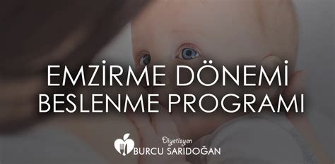 Emzirme D Nemi Beslenme Program