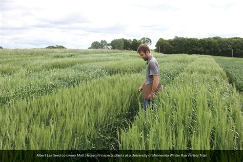 Albert Lea Seed Pledges 125000 For Winter Rye And Winter Barley