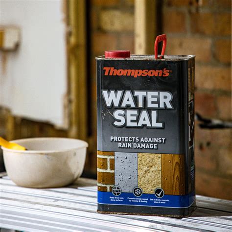 Thompsons Water Seal 5l