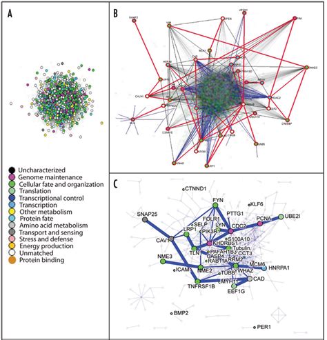 A The Full Protein Interaction Network Generated On 721 Target