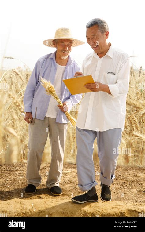 Two Farmers In Field Stock Photo Alamy