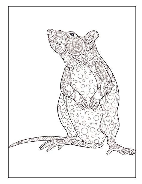 Rat Coloring Book for Adults: Includes 30 Dazzling Rat Designs to Colo ...