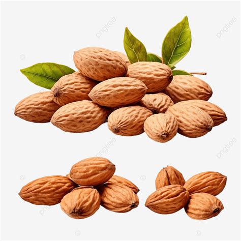 Almonds With Leaves Isolated On White Background Clipping Path Included