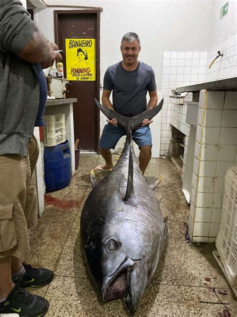 Mineiro Pesca Atum De Kg Peixe Pode Ser O Maior Da Pescaria