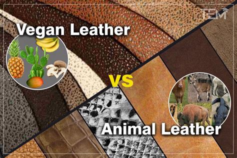 Vegan Leather Everything You Need To Know And More