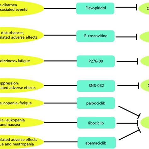 The side effects and targets of cyclin-dependent kinase (CDK ...