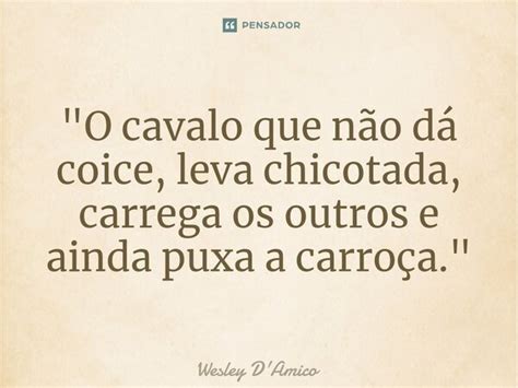 O Cavalo Que Não Dá Coice Wesley Damico Pensador