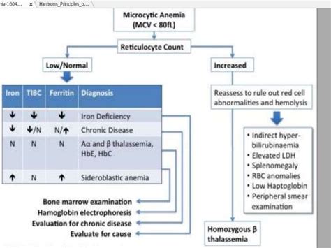 Approach To Microcytic Hypochromic Anemia