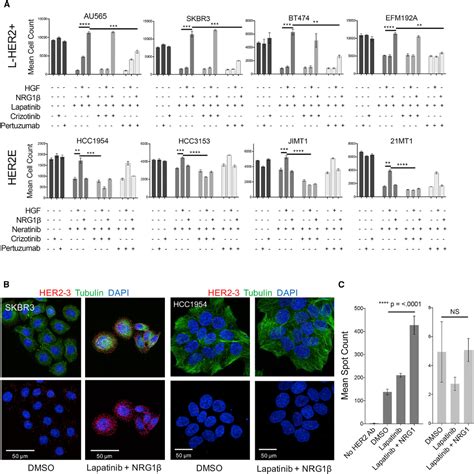 Figure From Microenvironment Mediated Mechanisms Of Resistance To