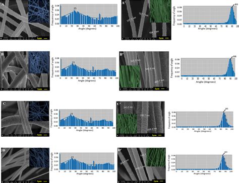 Figure From Fabrication Of Highly Oriented Cylindrical