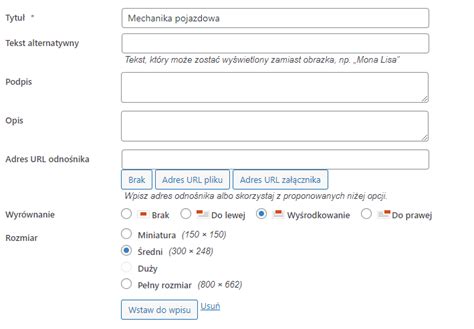 Jak Doda W Asne Logo Do Strony Logowania Do Panelu Wordpress