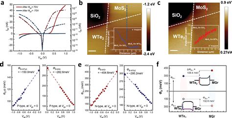 Vertical Nonvolatile Schottkybarrierfieldeffect Transistor With Self