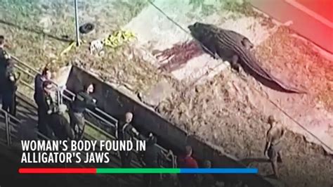 Womans Body Found In Florida Alligators Jaws Abs Cbn News Youtube