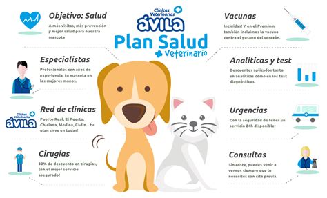 Plan De Salud Veterinario Para Gatos Cuál Elegir