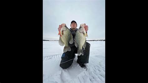 Mn Ice Fishing Slab Crappies Catch And Cook Youtube