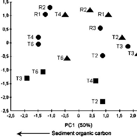 Plot Of The First Two Axes Of The Pca Ordination On Environmental Download Scientific Diagram