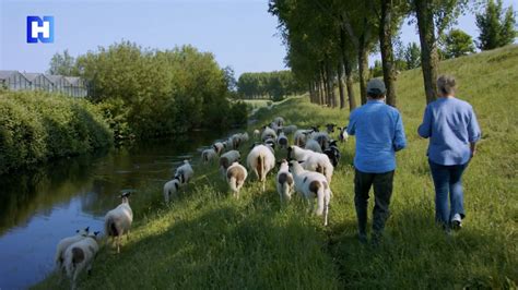 Langs De Hollandse Waterlinies De Beemster Tot Twee Keer Toe Onder