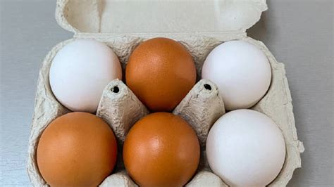 É isso que diferencia os ovos brancos dos ovos marrons muitos não