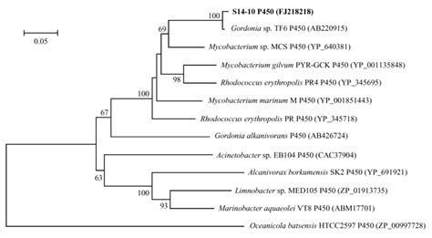 Phylogenetic Tree Based On Part Ial Amino Acid Sequences Of Cytochromes