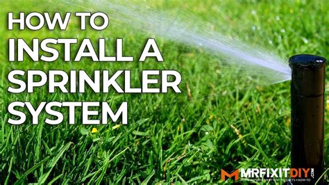 How To Install A Sprinkler System A Diy Guide Sprinkler Sprinkler