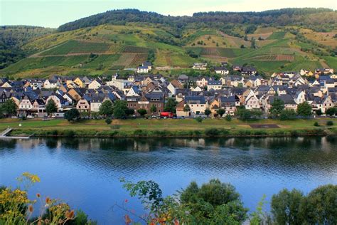 Why You Should Visit the Mosel Valley in Germany this summer