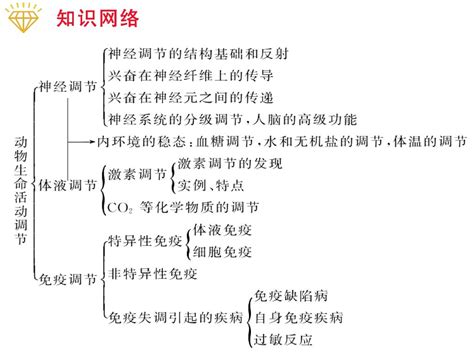 专题十 人和动物生命活动的调节 Ppt Download