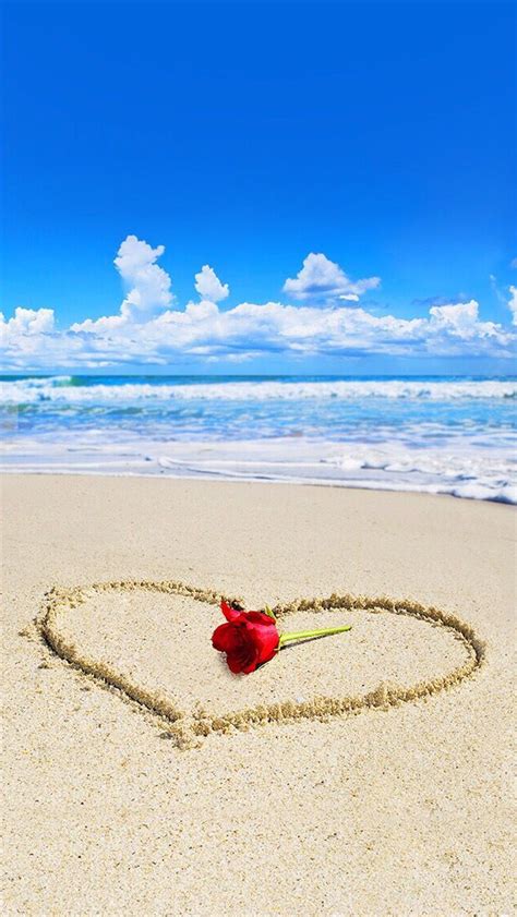 Rose Beach Wallpaper Phone - Best HD Image