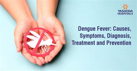 Dengue Fever Causes Symptoms Diagnosis Treatment And Prevention