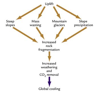 Lecture 24 Nov 2023 The Uplift Weathering Hypothesis Flashcards Quizlet