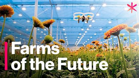 The Futuristic Farms That Will Feed The World The Futurist