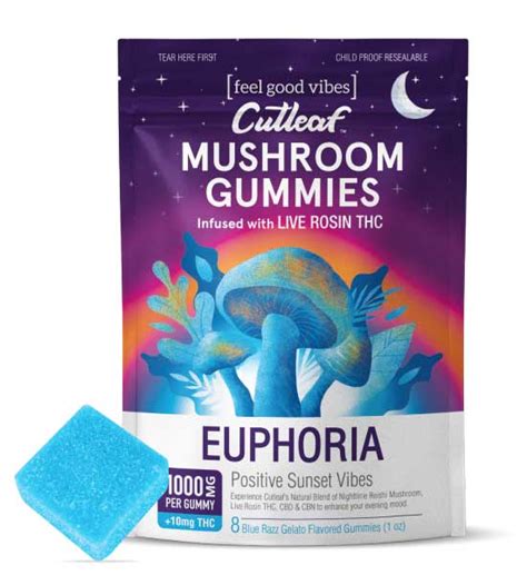 Blue Razz Gelato 1000mg Euphoria Mushroom Gummies Cutleaf