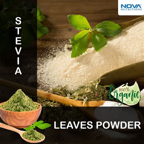 Nova Nutritions Certified Organic Stevia Leaf Powder 16 Oz 454 Gram