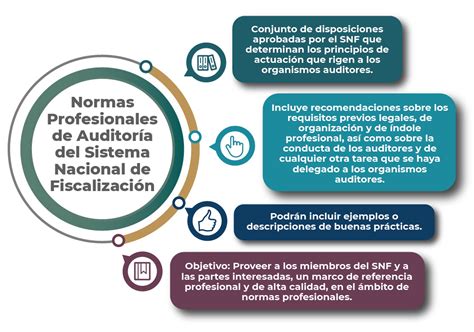 Normas Profesionales de Auditoría del Sistema Nacional de Fiscalización