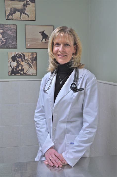 Dr Claire Todd Dvm Fonthill Animal Hospital